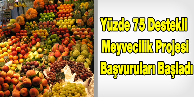 Büyükşehirden Yüzde 75 Destekli Meyvecilik Projesi Başvuruları Başladı