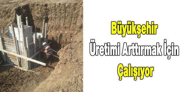 Büyükşehir, Üretimi Arttırmak İçin Çalışıyor