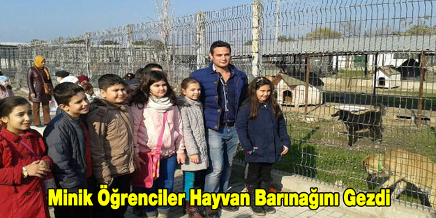 Minik Öğrenciler Hayvan Barınağını Gezdi