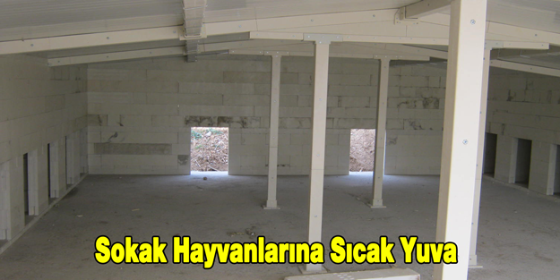 Sokak Hayvanlarına Sıcak Yuva